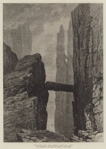 ಗ್ರೇ ಮ್ಯಾನ್ಸ್ ಪಾತ್, ಆಂಟ್ರಿಮ್ ಕೋಸ್ಟ್ ಟರ್ಕ್ by Samuel Read